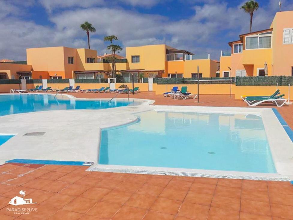 Delfines * Corralejo